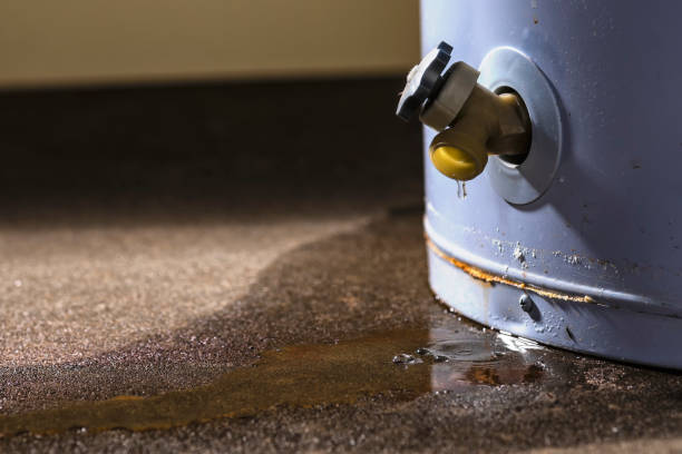 Best Flood restoration services  in Dalzell, SC