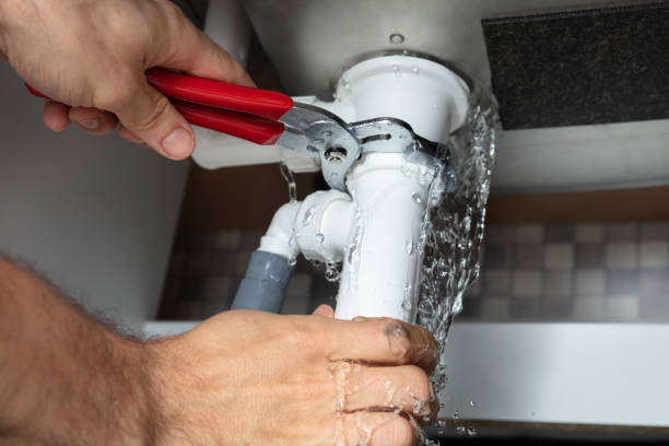 Best Mold removal after water damage  in Dalzell, SC