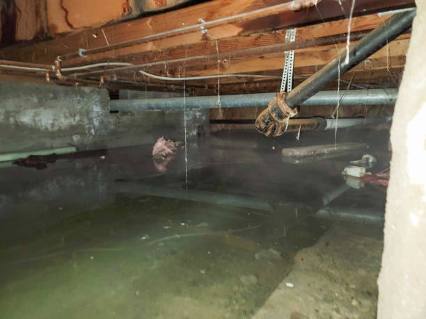 Best Residential water damage restoration  in Dalzell, SC