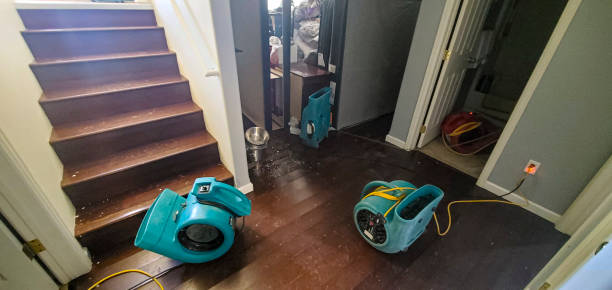 Best Water damage restoration near me  in Dalzell, SC