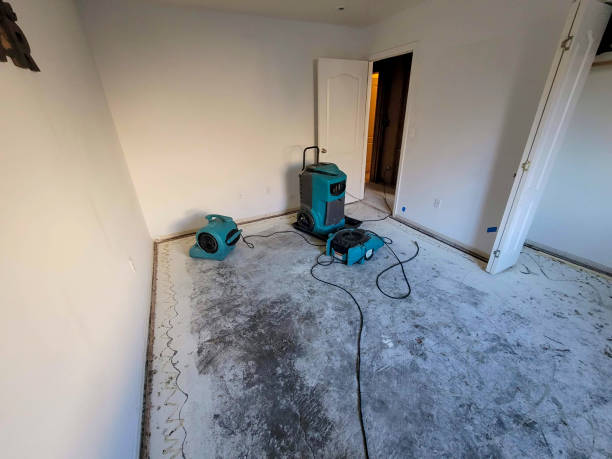Best Local water damage restoration  in Dalzell, SC