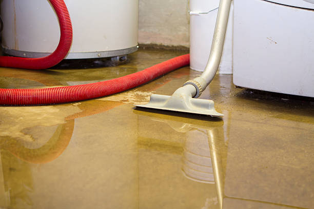 Best Fire Damage Restoration  in Dalzell, SC