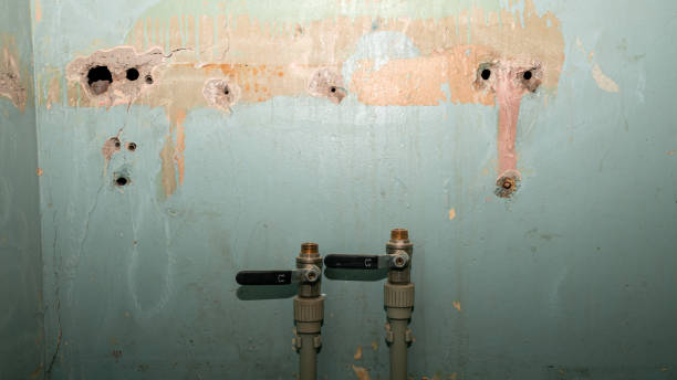 Best Water damage restoration experts  in Dalzell, SC