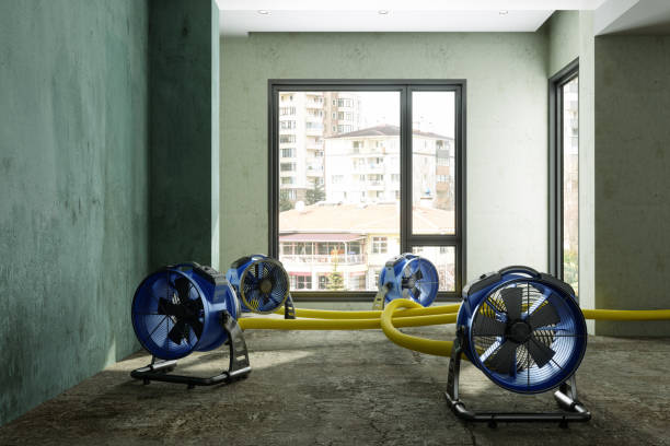 Best Local water damage restoration  in Dalzell, SC